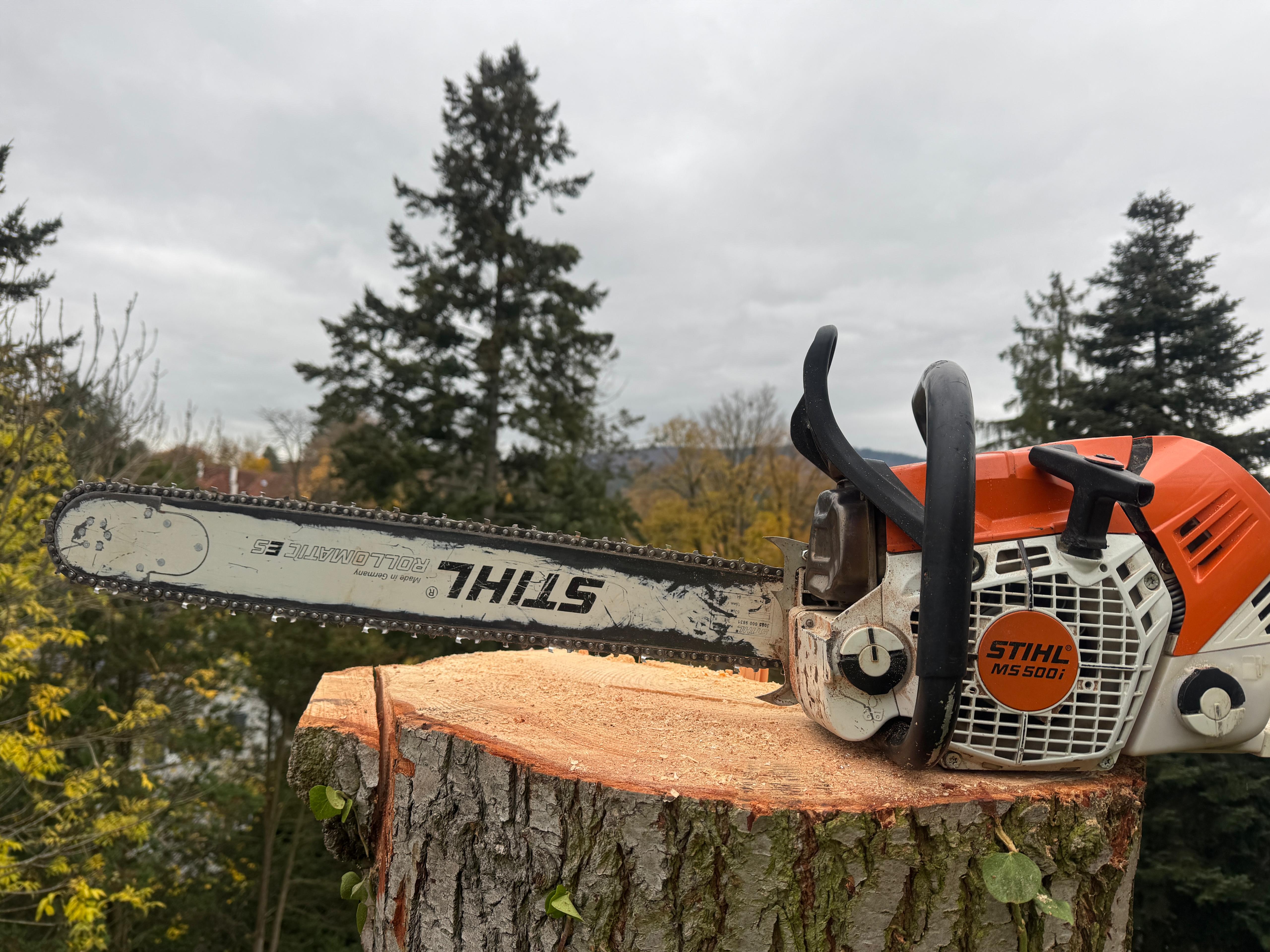 Holz im Garten